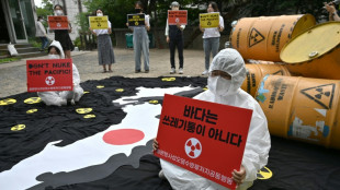 Jap&oacute;n quiere m&aacute;s energ&iacute;a nuclear ante carest&iacute;a por guerra en Ucrania