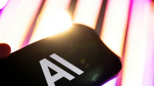 AFP, NYT e associa&ccedil;&otilde;es latinas se unem diante da IA