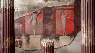 De rares fresques monumentales d&eacute;couvertes &agrave; Pomp&eacute;i