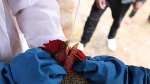 Aviaria, una sola mutazione pu&ograve; facilitare il contagio tra umani