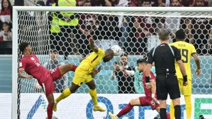 World Cup kicks off in Qatar after troubled buildup