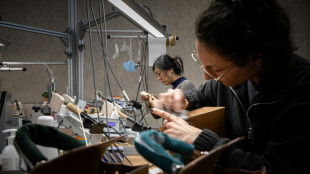 En TikTok, la falsificaci&oacute;n china de productos de lujo busca sacar tajada de la guerra comercial