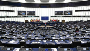La UE considera "decepcionante" la deportaci&oacute;n de una eurodiputada desde Israel