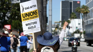 Apr&egrave;s les sc&eacute;naristes, les acteurs d'Hollywood se mettent aussi en gr&egrave;ve