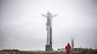 La m&eacute;gafus&eacute;e d'Elon Musk, Starship, &agrave; nouveau sur le devant de la sc&egrave;ne