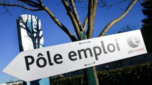 Le ch&ocirc;mage a recul&eacute; nettement en 2022 avec un bon dernier trimestre