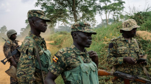 Est de la RDC: l'ONU appelle au retrait des forces rwandaises, lourde offensive pr&egrave;s de Goma