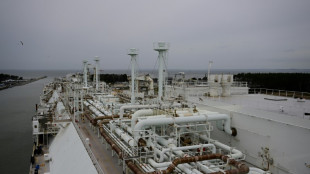 Bundesnetzagentur-Chef wirbt f&uuml;r zus&auml;tzliche LNG-Terminals