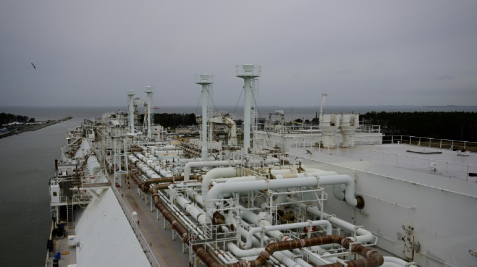 Umweltsch&uuml;tzer machen vor Scholz-Besuch auf R&uuml;gen gegen LNG-Terminal mobil