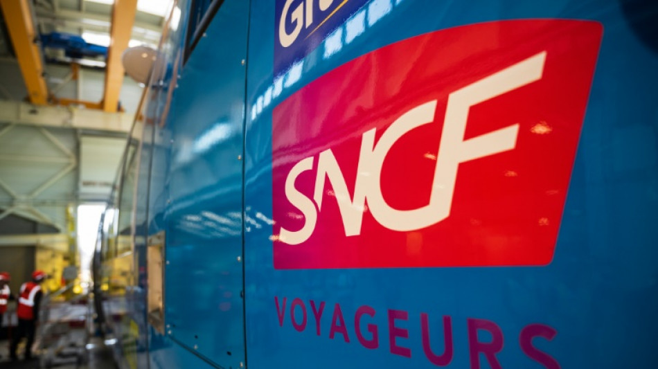 El Estado franc&eacute;s financiar&aacute; la compra de 22 trenes al constructor espa&ntilde;ol CAF para la l&iacute;nea Burdeos-Marsella, dice el gobierno