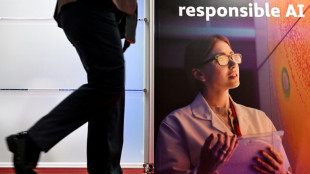 Pour grandir, l'IA g&eacute;n&eacute;rative se tourne vers les livres