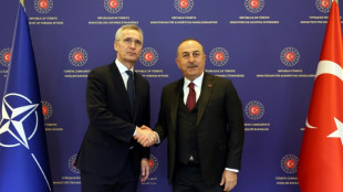 Nato-Chef fordert T&uuml;rkei zu Ratifizierung von Beitritt Schwedens und Finnlands auf