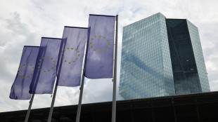 Italia e 3 Paesi Ue, 'sì al blocco degli asset non ne determina l'uso'