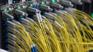 Politiker fordern mehr Schutz vor Cyberattacken nach Angriffen auf Bund und L&auml;nder