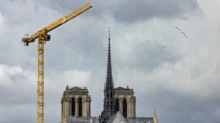 Notre Dame acogió a más de 11 millones de visitantes en el primer año tras su reapertura