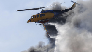 Due pompieri greci morti in un incendio boschivo a Creta