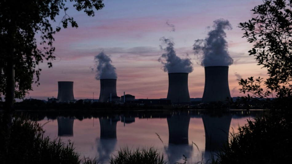 Atomic Brussels? Support for nuclear power gains ground in EU