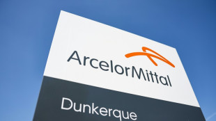 Le gouvernement et ArcelorMittal alignés contre le projet de nationalisation