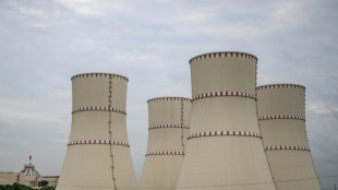Bangladesh nuclear plant draws hope -- and worry