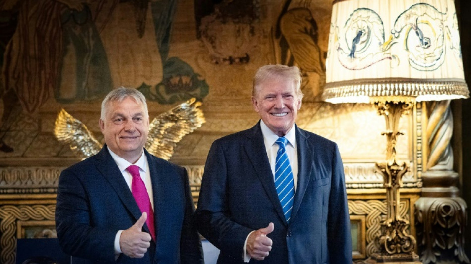 Quand la recette de l'illib&eacute;rale Hongrie inspire Donald Trump