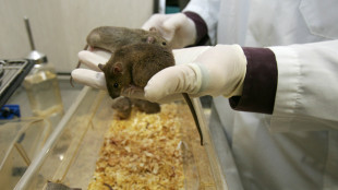 L'ambiente può spegnere l'interruttore dell'istinto di fuga