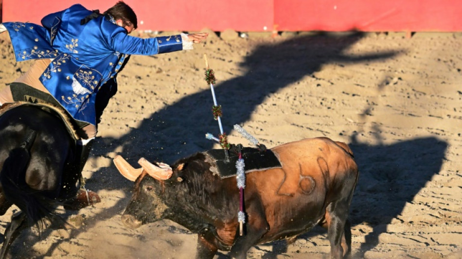 Au coeur de la Californie, la communaut&eacute; portugaise fait vivre la corrida, sans effusion de sang