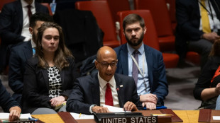 US-Veto gegen UN-Resolution f&uuml;r Waffenruhe im Gazastreifen - Neue israelische Angriffe