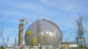 Un projet de loi pour acc&eacute;l&eacute;rer sur le nucl&eacute;aire d&eacute;voil&eacute; en conseil des ministres