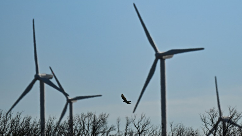 Oiseaux prot&eacute;g&eacute;s: la justice ordonne l'arr&ecirc;t temporaire du parc &eacute;olien d'Aumelas dans l'H&eacute;rault