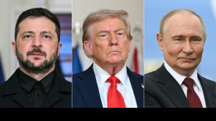 Trump: Habe Vorbereitungen f&uuml;r Treffen zwischen Putin und Selenskyj begonnen