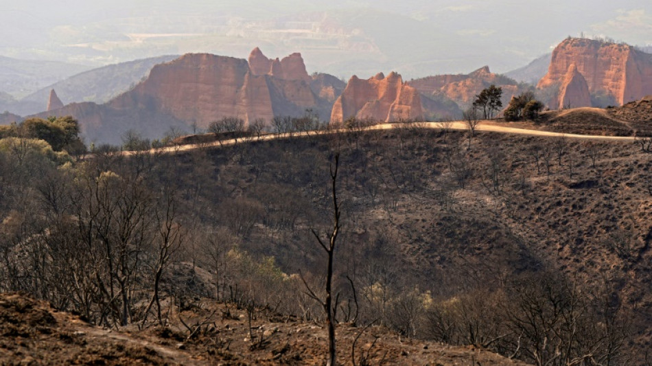 Child dies in Italy as European heatwave sets records and sparks wildfires