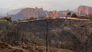 Child dies in Italy as European heatwave sets records and sparks wildfires