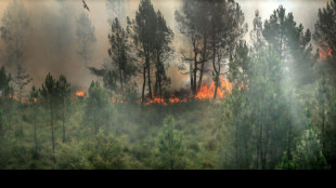 Hitzewelle erfasst nach Spanien und Portugal auch Frankreich