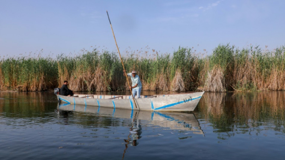 En Irak, la prospection p&eacute;troli&egrave;re menace les mythiques marais m&eacute;sopotamiens