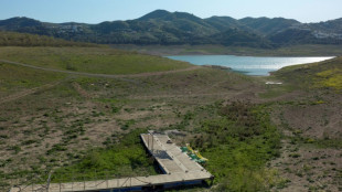 Datos satelitales sobre sequ&iacute;a muestran mejor&iacute;a en Europa, salvo en Espa&ntilde;a