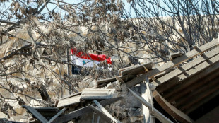 Quinze morts dans une frappe isra&eacute;lienne sur la capitale syrienne, selon une ONG