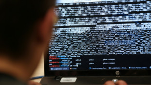 Razzia gegen mutma&szlig;liche Computersaboteure in vier Bundesl&auml;ndern