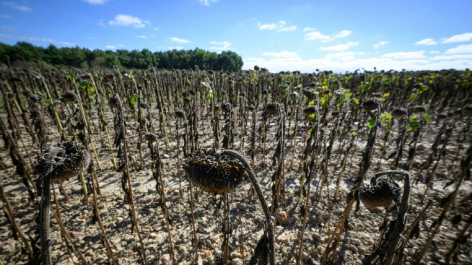Canicules: l'&eacute;t&eacute; a co&ucirc;t&eacute; 16 milliards d'euros, selon une mission parlementaire