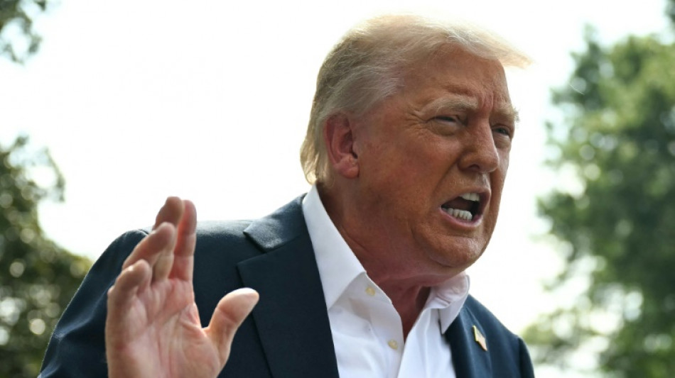 Droits de douane américains: un impact différent d'un pays européen à l'autre