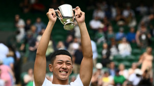 Japan's Oda, 17, wins Wimbledon wheelchair title
