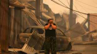 Chile lucha contra mort&iacute;feros incendios que arrasaron pueblos enteros en el sur