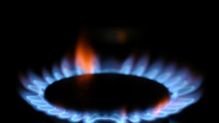Breites B&uuml;ndnis ruft zu Protesten gegen Regierungskurs in Energiekrise auf