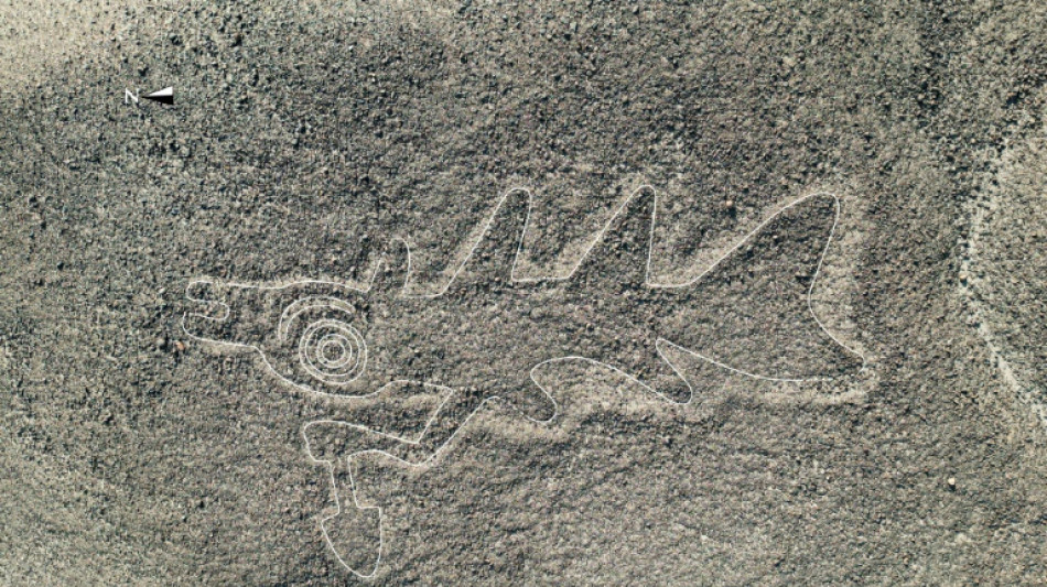 Le P&eacute;rou r&eacute;duit la c&eacute;l&egrave;bre r&eacute;serve de Nasca, inqui&eacute;tude des arch&eacute;ologues 