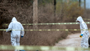 L&eacute;ger recul des homicides au Mexique, toujours min&eacute; par la violence