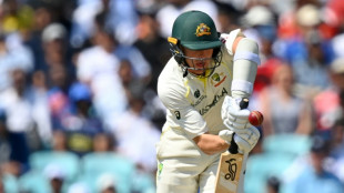Australia dominate Test batting rankings ahead of Ashes