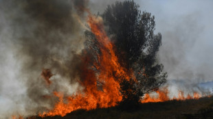 Les grands incendies de for&ecirc;t, fl&eacute;au r&eacute;current en France