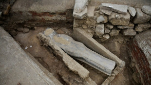 Les entrailles de Notre-Dame ont livr&eacute; un myst&eacute;rieux sarcophage de plomb