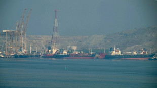 P&eacute;trole: une premi&egrave;re d&eacute;cision de l'Opep+ sans les Emirats arabes unis