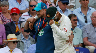 Australia's Lyon suffers calf injury in Ashes blow