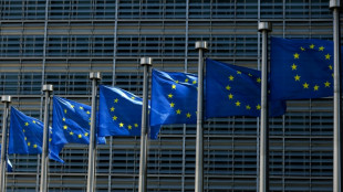 Une Am&eacute;ricaine &agrave; un poste cl&eacute; de l'UE, Paris demande &agrave; Bruxelles de revoir son choix